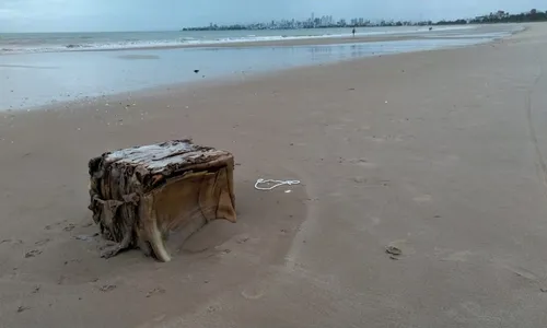 
                                        
                                            'Caixa misteriosa' é encontrada na praia de Intermares, em Cabedelo
                                        
                                        