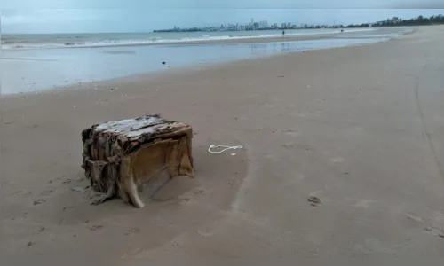 
				
					'Caixa misteriosa' é encontrada na praia de Intermares, em Cabedelo
				
				