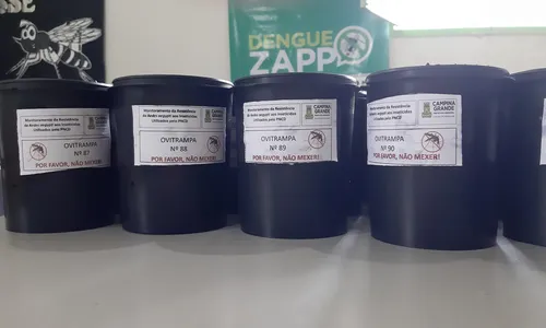 
                                        
                                            Campina Grande e outras 142 cidades do Brasil adotam novo método contra o Aedes aegypti
                                        
                                        