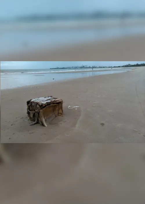 
                                        
                                            'Caixa misteriosa' é encontrada na praia de Intermares, em Cabedelo
                                        
                                        