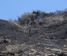 Pelo menos 189 cidades da Paraíba estão em alerta do Inmet para baixa umidade