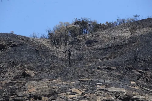 
				
					Pelo menos 189 cidades da Paraíba estão em alerta do Inmet para baixa umidade
				
				