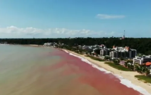 
				
					'Mar vermelho' em Cabo Branco tem relação com dissolução de rochas
				
				