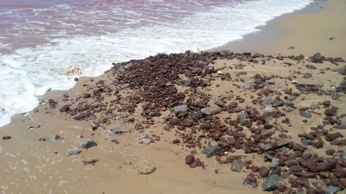 
				
					'Mar vermelho' em Cabo Branco tem relação com dissolução de rochas
				
				