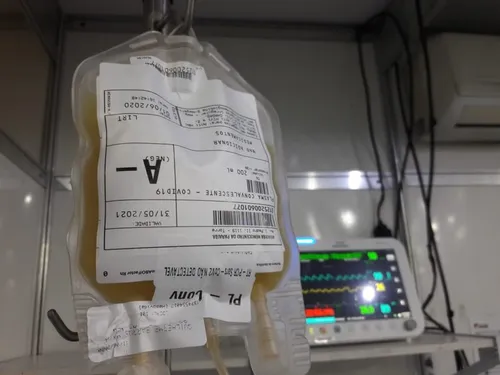 
				
					Lei que obriga realização de teste de Covid-19 em doadores de sangue é alterada
				
				