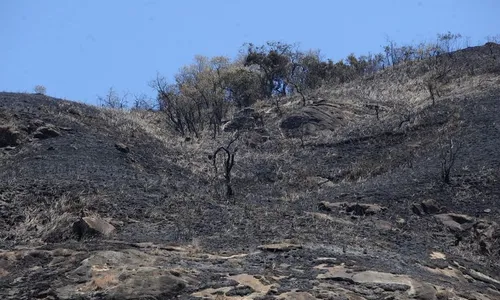 
                                        
                                            Inmet alerta para baixa umidade em 145 cidades da Paraíba no fim de semana
                                        
                                        