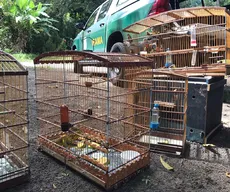 Ibama devolve 32 animais à natureza no Litoral Norte da Paraíba