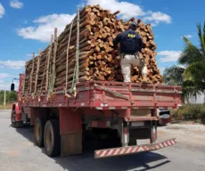 PRF apreende na Paraíba carga de madeira ilegal com 'nota fria' extraída no Ceará