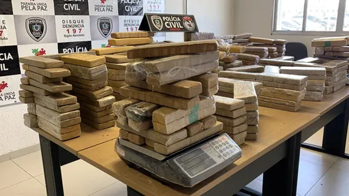 
				
					Polícia apreende cerca de 350 quilos de drogas na Grande João Pessoa
				
				