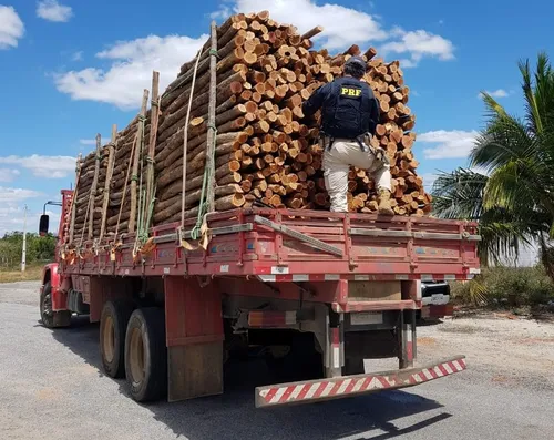 
				
					PRF apreende na Paraíba carga de madeira ilegal com 'nota fria' extraída no Ceará
				
				