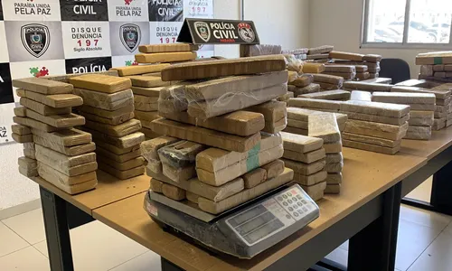 
                                        
                                            Polícia apreende cerca de 350 quilos de drogas na Grande João Pessoa
                                        
                                        