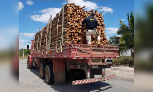 
				
					PRF apreende na Paraíba carga de madeira ilegal com 'nota fria' extraída no Ceará
				
				
