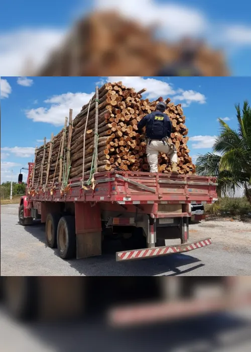 
                                        
                                            PRF apreende na Paraíba carga de madeira ilegal com 'nota fria' extraída no Ceará
                                        
                                        