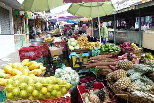 
				
					Saiba onde comprar alimentos orgânicos em vários pontos da Paraíba
				
				