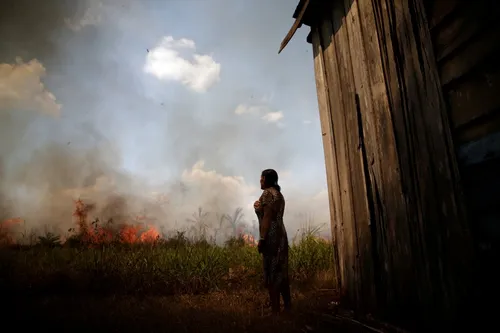 
				
					Ibama manda suspender ação de todas brigadas de combate a incêndios
				
				