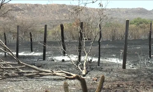 
                                        
                                            Incêndios assustam moradores de comunidades rurais no Sertão da Paraíba
                                        
                                        