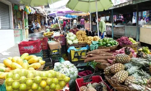 
				
					Saiba onde comprar alimentos orgânicos em vários pontos da Paraíba
				
				