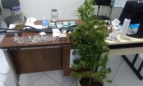 
                                        
                                            Pé de maconha com 1 metro de altura é apreendido no interior da Paraíba
                                        
                                        