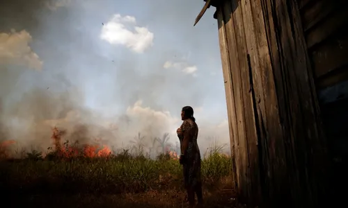 
                                        
                                            Ibama manda suspender ação de todas brigadas de combate a incêndios
                                        
                                        