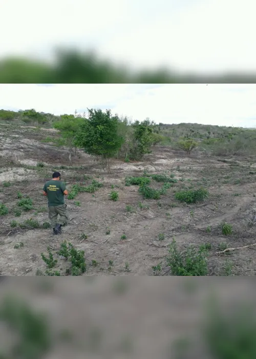 
                                        
                                            Ibama identifica desmatamento de quase 290 hectares na caatinga paraibana
                                        
                                        