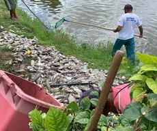 Centenas de peixes aparecem mortos na Lagoa de João Pessoa e Seman investiga causa