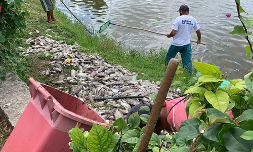 
                                        
                                            Centenas de peixes aparecem mortos na Lagoa de João Pessoa e Seman investiga causa
                                        
                                        