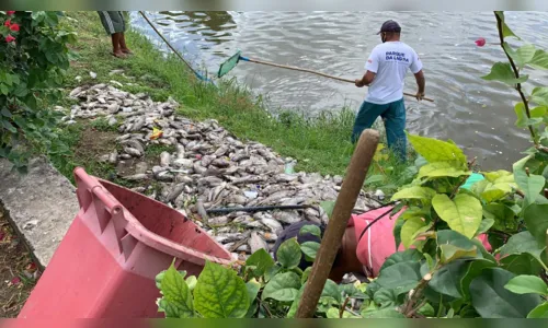 
				
					Centenas de peixes aparecem mortos na Lagoa de João Pessoa e Seman investiga causa
				
				