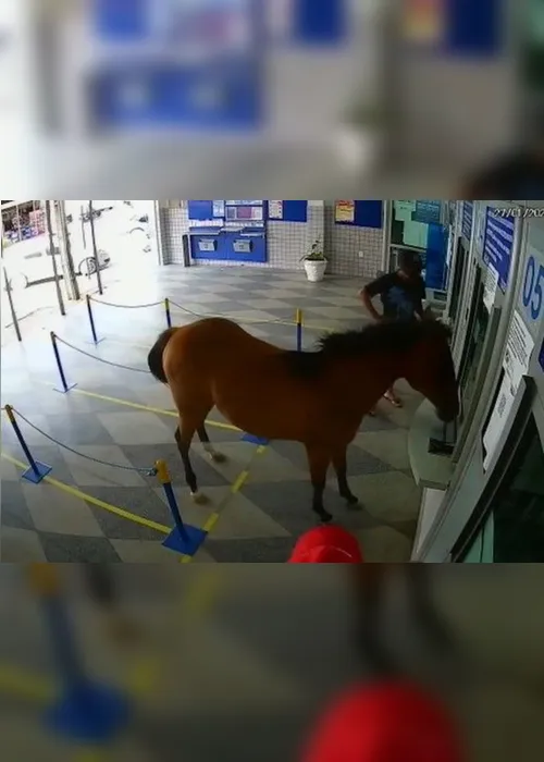 
                                        
                                            Cavalo invade lotérica e assusta funcionários e clientes em Cuité
                                        
                                        