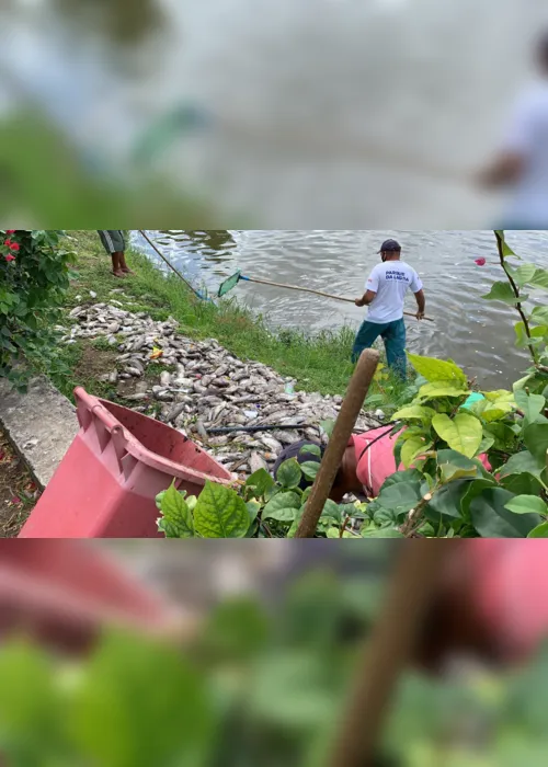 
                                        
                                            Centenas de peixes aparecem mortos na Lagoa de João Pessoa e Seman investiga causa
                                        
                                        