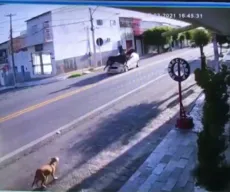VÍDEO: carro atropela mulher montada em cavalo