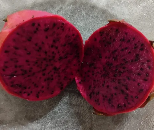 
				
					Pesquisadora aposta no cultivo de pitaya para incentivar produção rural no Sertão da PB
				
				