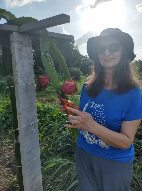 
				
					Pesquisadora aposta no cultivo de pitaya para incentivar produção rural no Sertão da PB
				
				