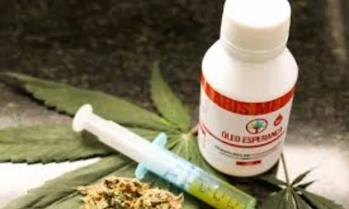 
				
					Desembargador do TRF5 revoga própria decisão e Abrace pode manter produção de medicamentos a base de cannabis medicinal
				
				