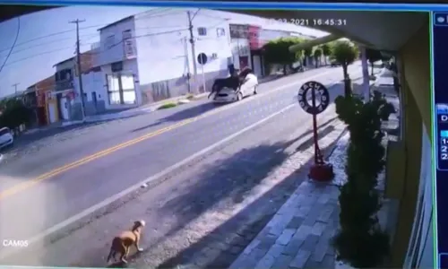 
                                        
                                            VÍDEO: carro atropela mulher montada em cavalo
                                        
                                        