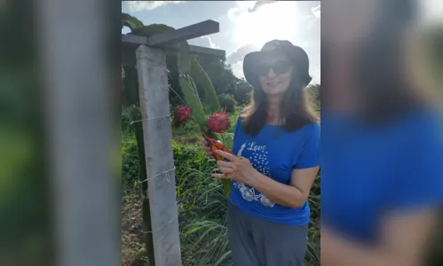 
				
					Pesquisadora aposta no cultivo de pitaya para incentivar produção rural no Sertão da PB
				
				