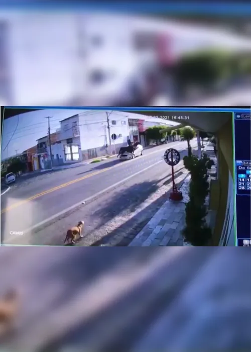 
                                        
                                            VÍDEO: carro atropela mulher montada em cavalo
                                        
                                        