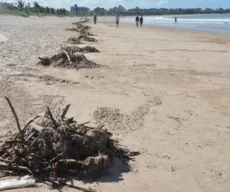 Secretário de Meio Ambiente suspeita que lixo nas praias da PB saiu de PE