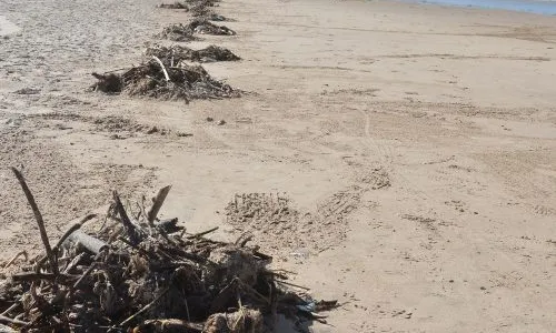 
                                        
                                            Secretário de Meio Ambiente suspeita que lixo nas praias da PB saiu de PE
                                        
                                        