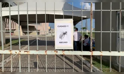 
				
					Vacinação contra a Covid-19 no Ginásio Ronaldão é suspensa por conta de abelhas
				
				