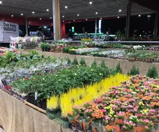 Feiras de flores trazem opções de presente para o Dia das Mães, em João Pessoa