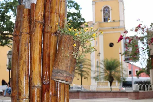 
				
					Guerra das Flores em Areia: entre embate judicial e político, o prejuízo para o turismo local
				
				