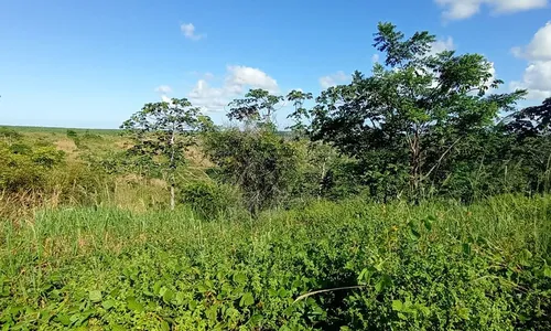 
                                        
                                            Projeto realiza ações de reflorestamento em áreas da Mata Atlântica, na PB
                                        
                                        