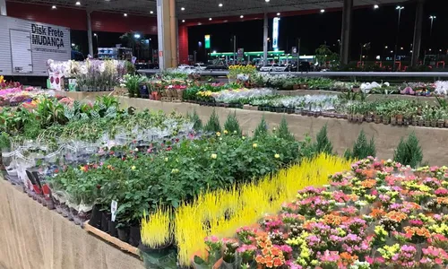 
                                        
                                            Feiras de flores trazem opções de presente para o Dia das Mães, em João Pessoa
                                        
                                        