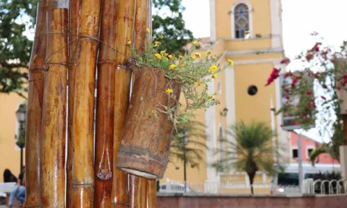 
				
					Guerra das Flores em Areia: entre embate judicial e político, o prejuízo para o turismo local
				
				