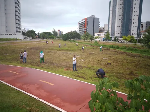 
				
					'Bosque da Memória' homenageia vítimas da Covid-19 com árvores, em João Pessoa
				
				