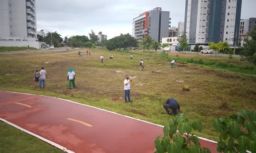 
                                        
                                            'Bosque da Memória' homenageia vítimas da Covid-19 com árvores, em João Pessoa
                                        
                                        