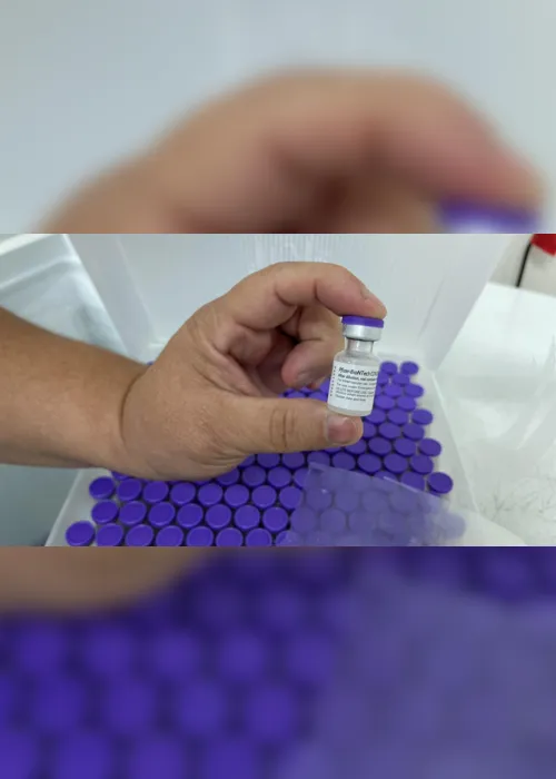 
                                        
                                            Doses da vacina da Pfizer são distribuídas para os 223 municípios da Paraíba
                                        
                                        