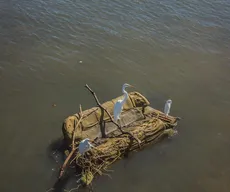 Exposição fotográfica retrata impacto ambiental do descarte de lixo em praias