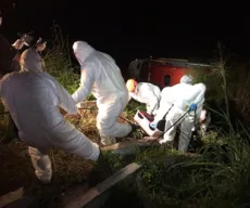 Acidentes de trabalho fazem uma média de seis vítimas por dia na Paraíba, alerta MPT