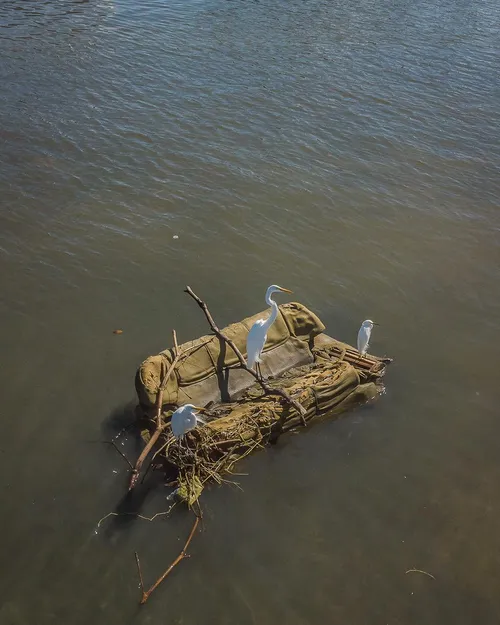 
				
					Exposição fotográfica retrata impacto ambiental do descarte de lixo em praias
				
				